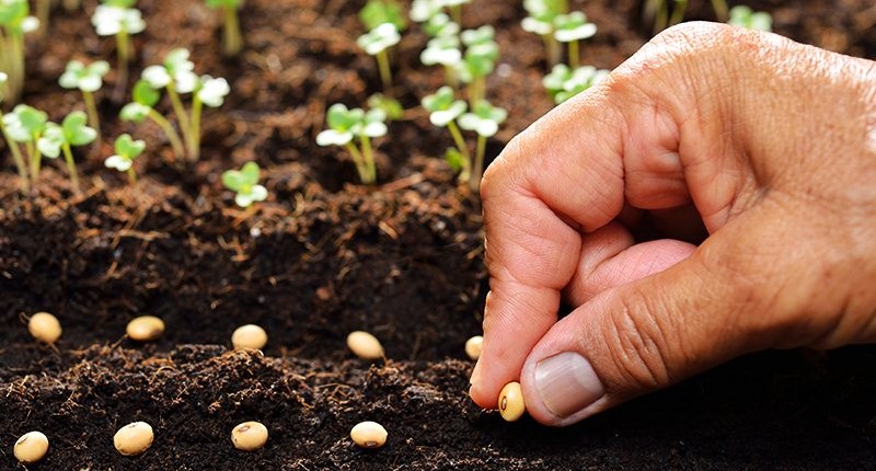 Hãy là người gieo hạt dễ thương, bền bỉ và kiên trì!